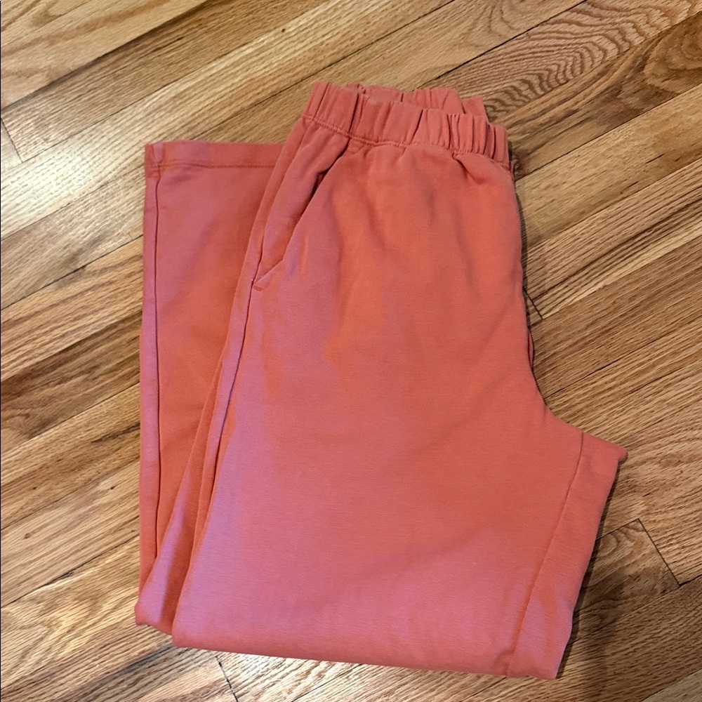Patagonia Salmon Elastic Waist Pants